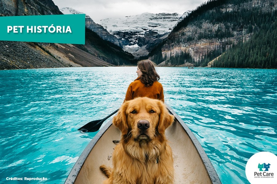 Cachorro que viaja para lugares paradisíacos tem as fotos mais lindas do Instagram