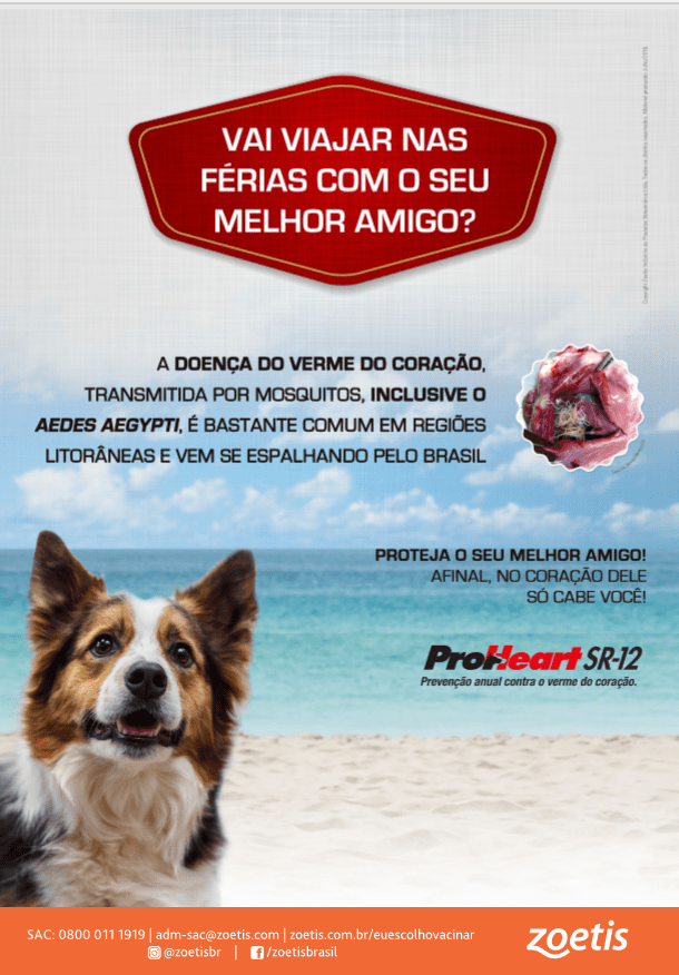 verme do coraçao