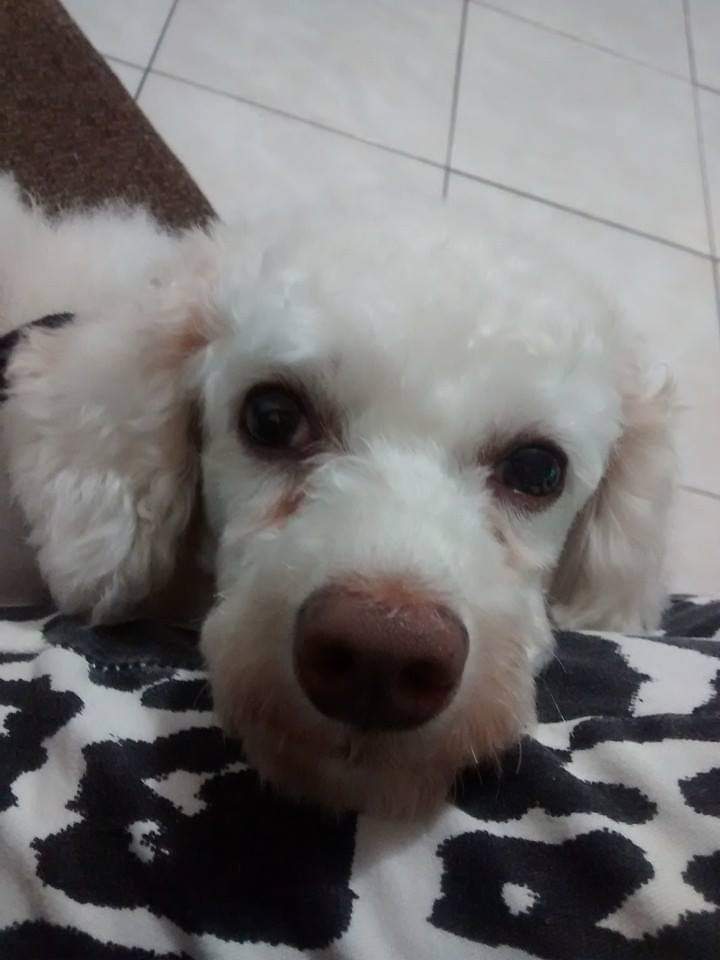 IMG-20190823-WA0054
