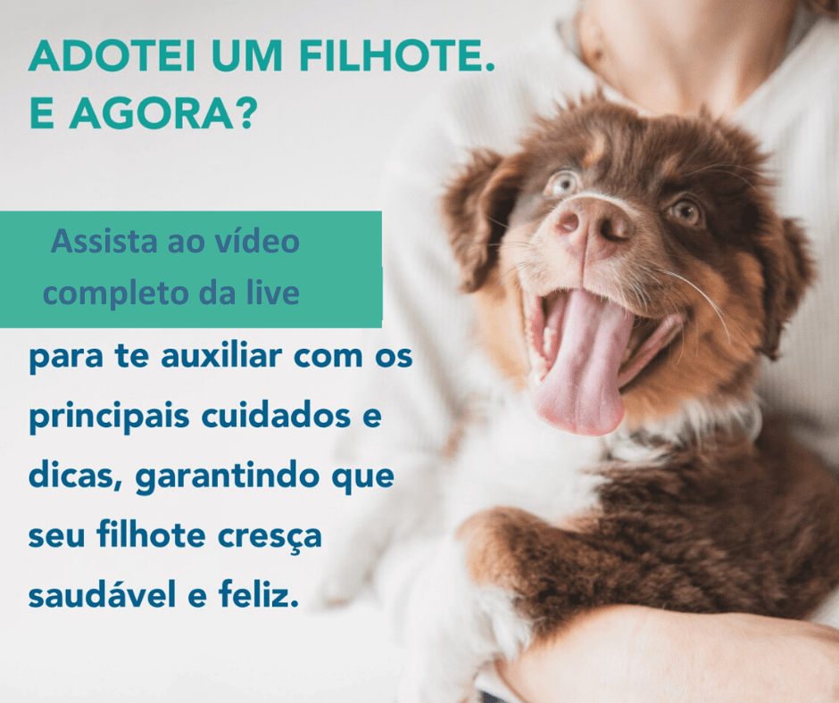 Assista ao vídeo completo da live