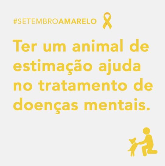 13 DE SETEMBRO DE 2020