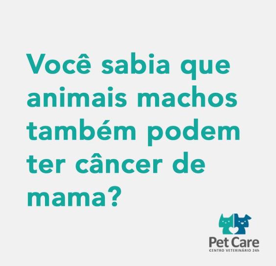 25 DE OUTUBRO DE 2020