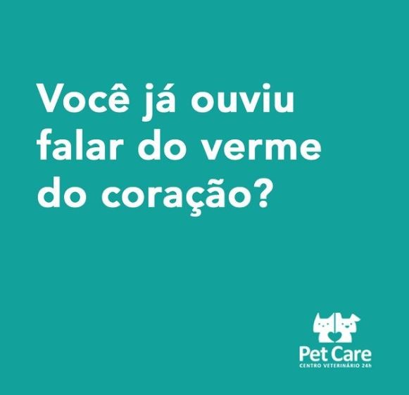 26 DE NOVEMBRO DE 2020
