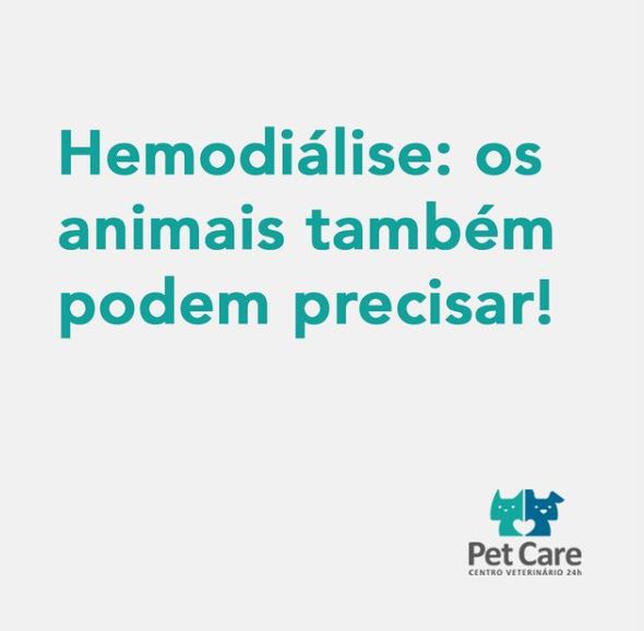 hemodialise