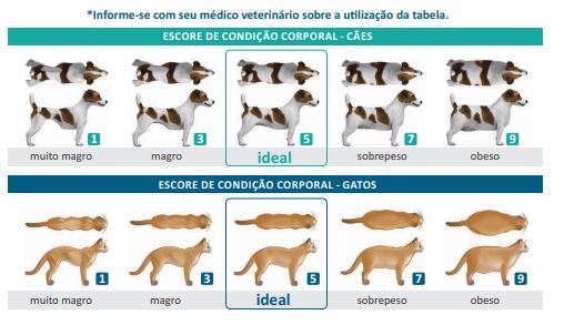Obesidades cães e gatos
