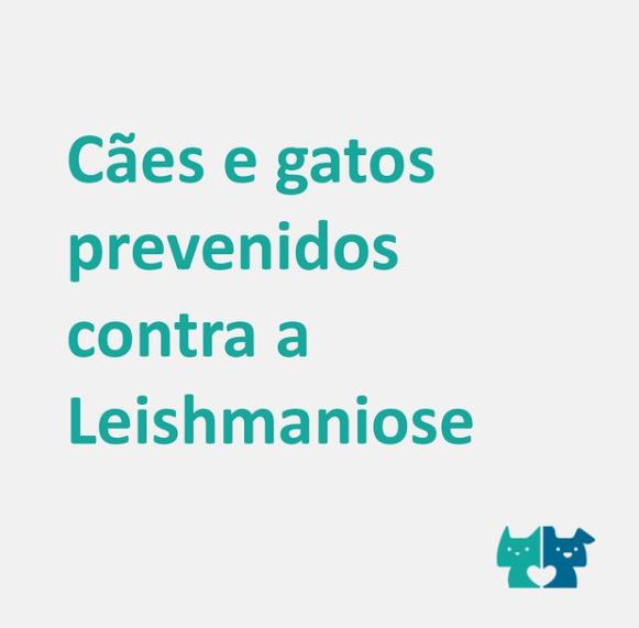 leishmaniose