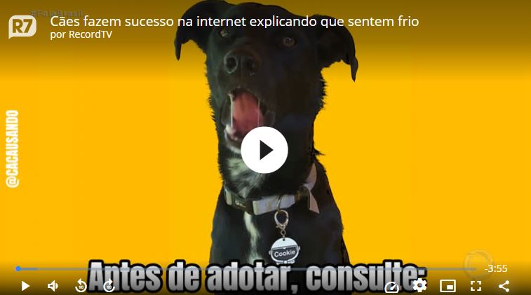 video